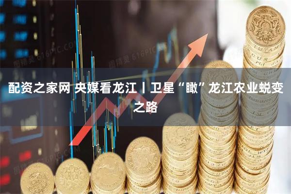 配资之家网 央媒看龙江丨卫星“瞰”龙江农业蜕变之路