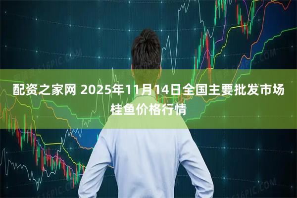 配资之家网 2025年11月14日全国主要批发市场桂鱼价格行情