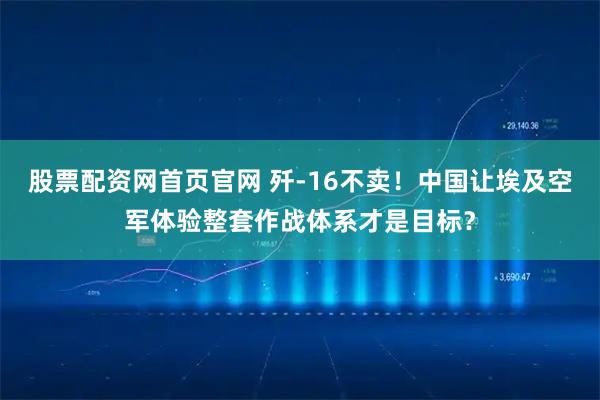 股票配资网首页官网 歼-16不卖！中国让埃及空军体验整套作战体系才是目标？